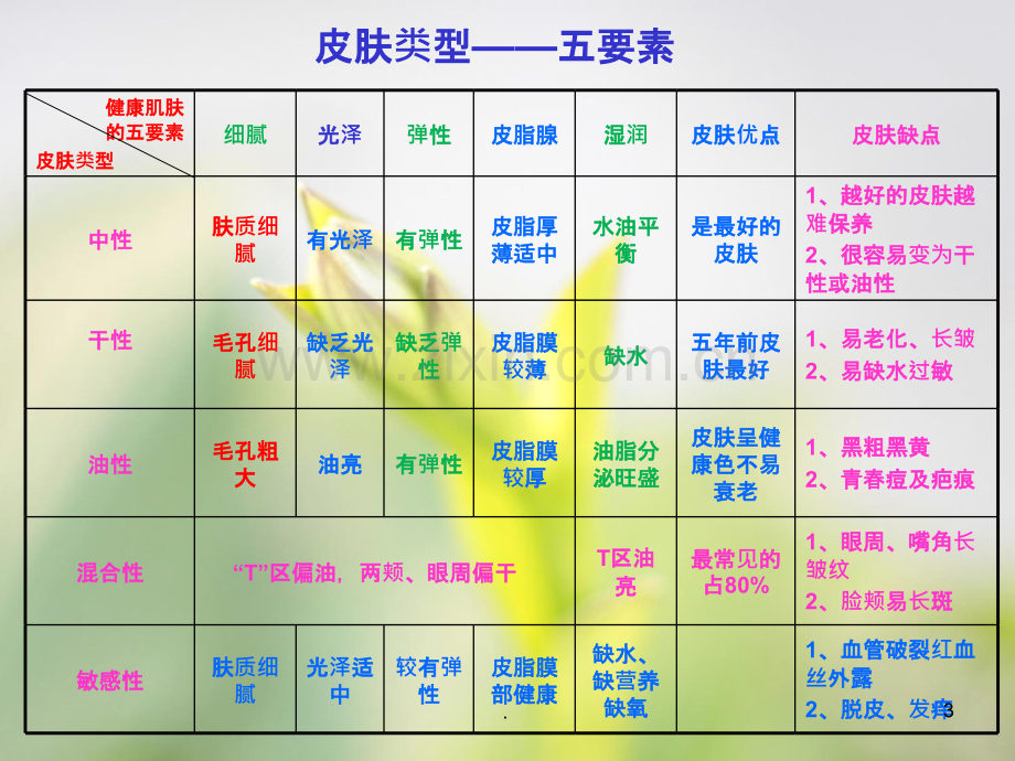 问题性皮肤.ppt_第3页