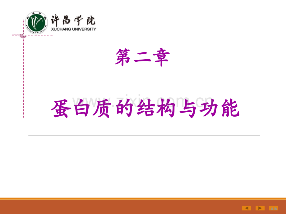 第二章蛋白质的结构与功能.ppt_第1页