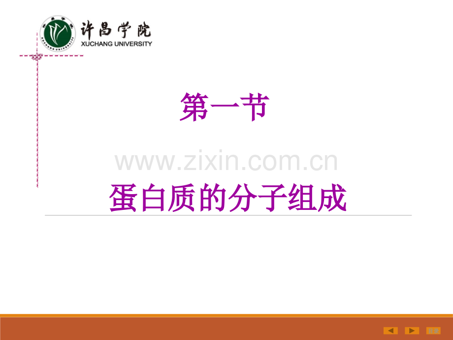 第二章蛋白质的结构与功能.ppt_第3页