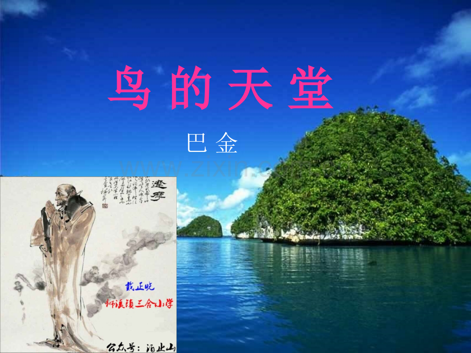 3《鸟的天堂》ppt课件(公开课).ppt_第1页