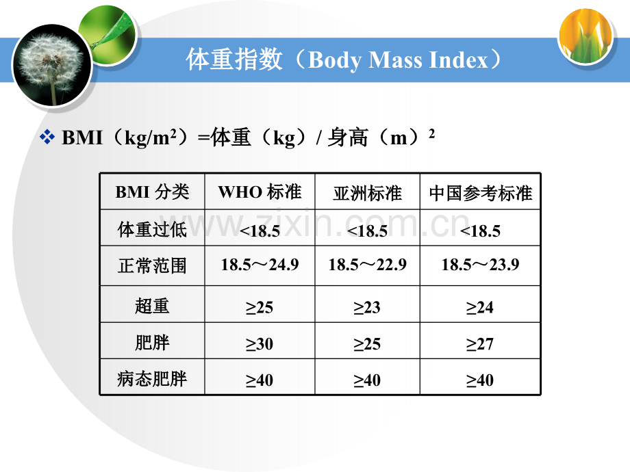 肥胖的病理生理(内分泌篇).ppt_第3页