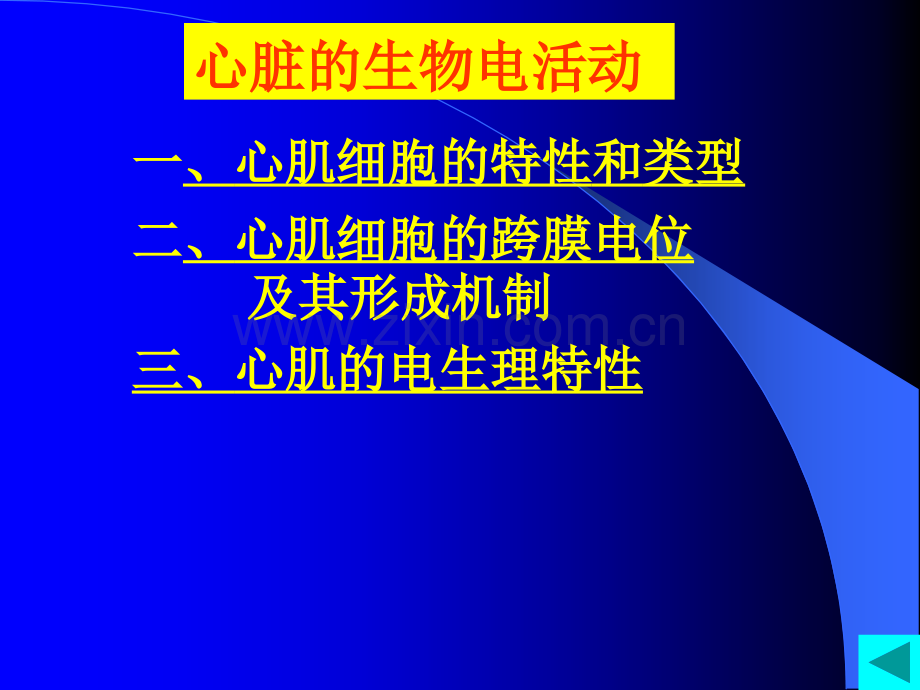 4血液循环1.ppt_第3页