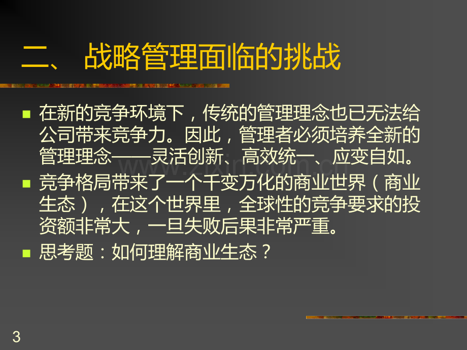 第二章战略管理面临的挑战.ppt_第3页