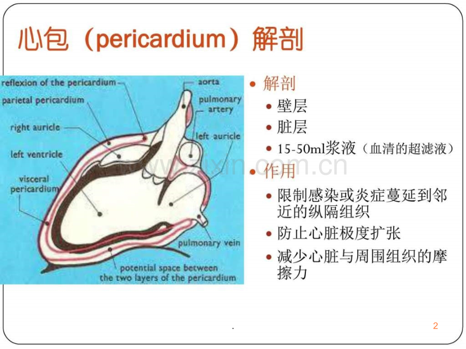 心包病变.ppt_第2页