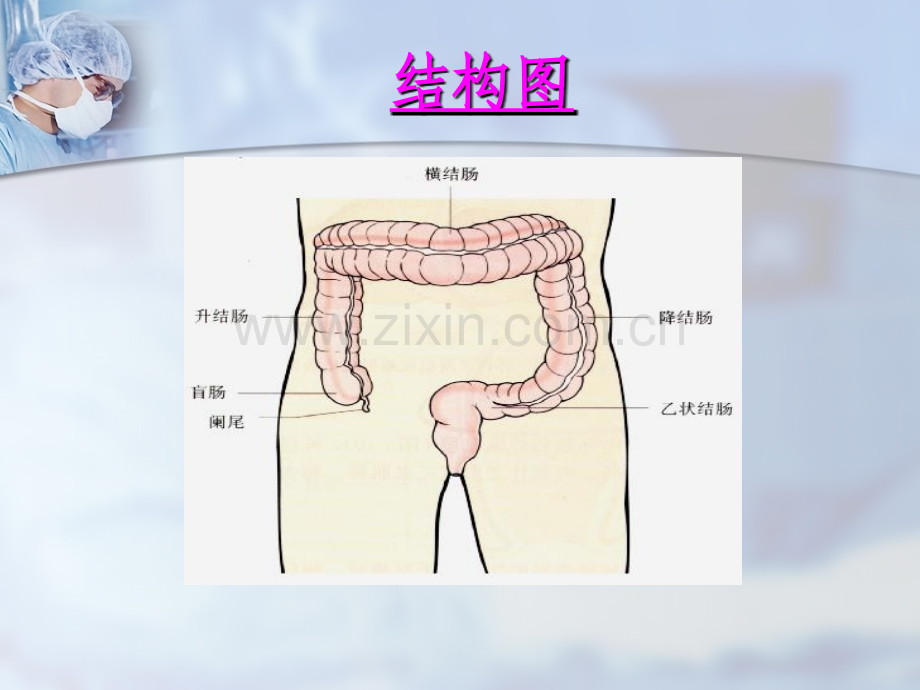 结肠癌的护理ppt.ppt_第3页