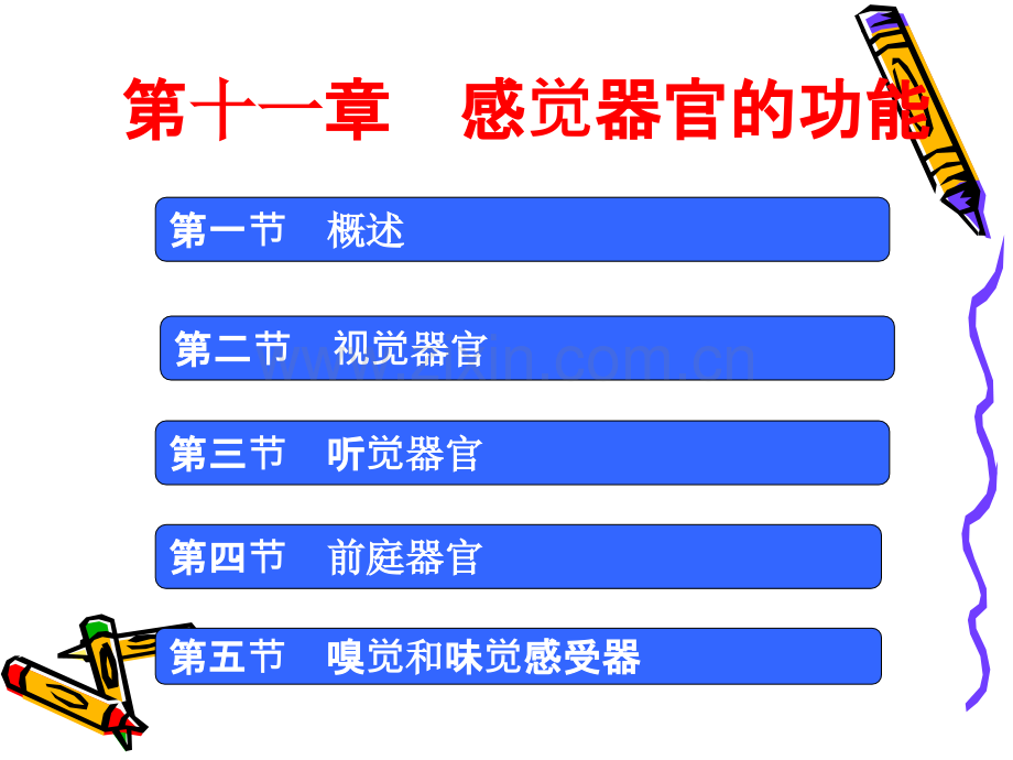 生理学-感觉器官.ppt_第1页