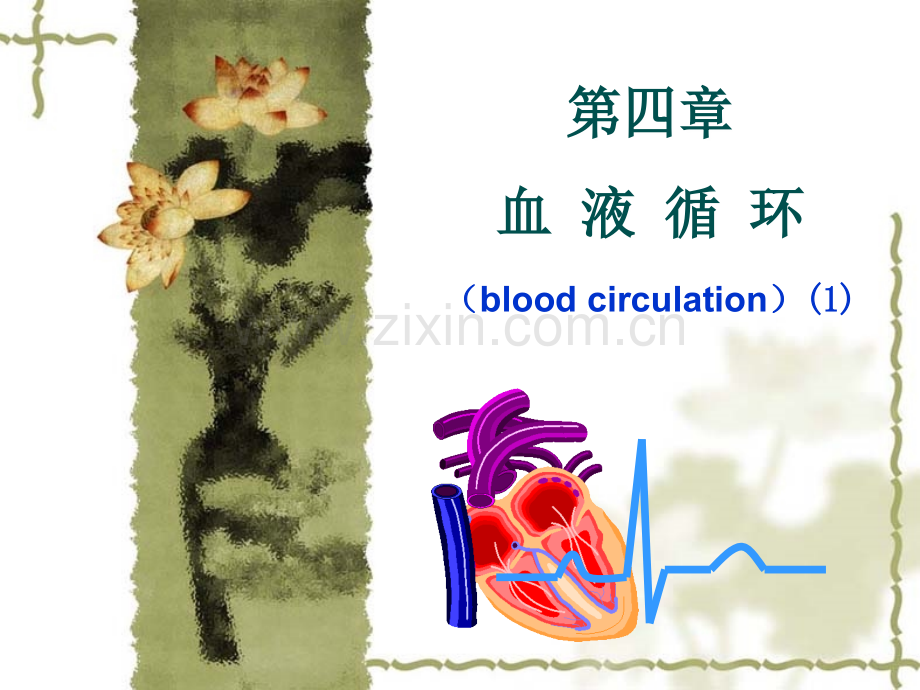 生理学第四章-血液循环.ppt_第1页