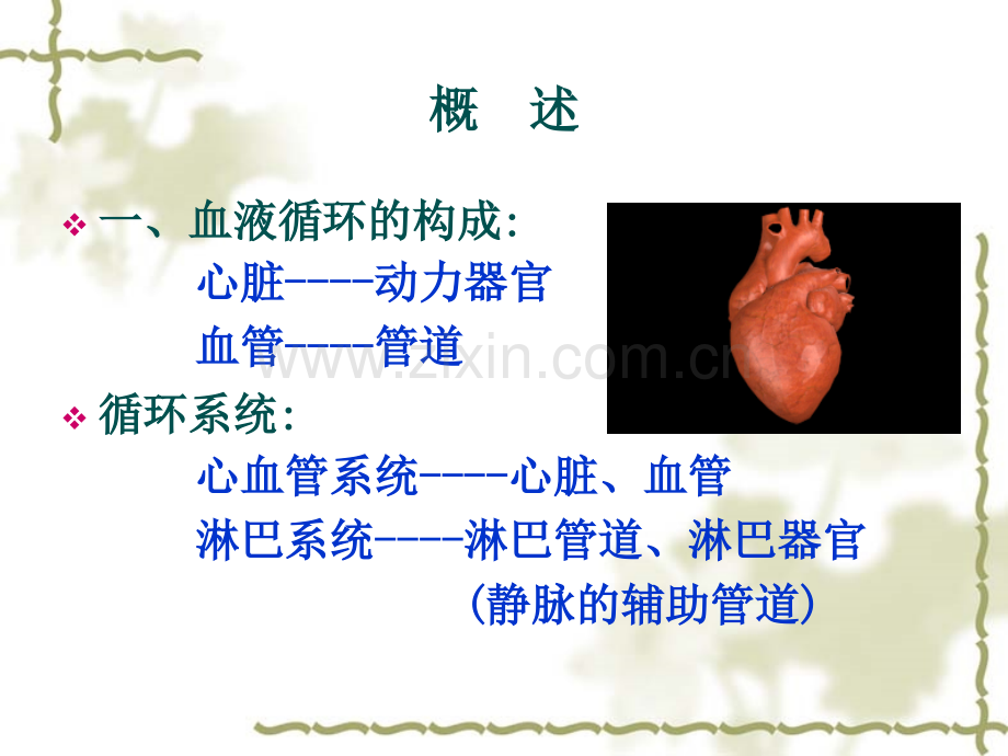 生理学第四章-血液循环.ppt_第2页