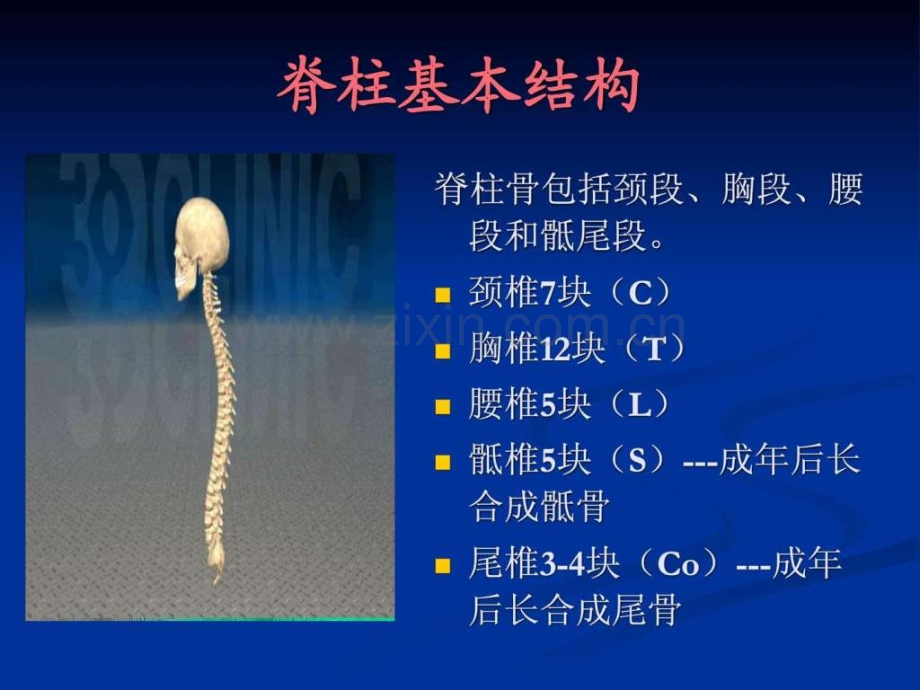 L1椎体爆裂骨折的.pptx_第1页