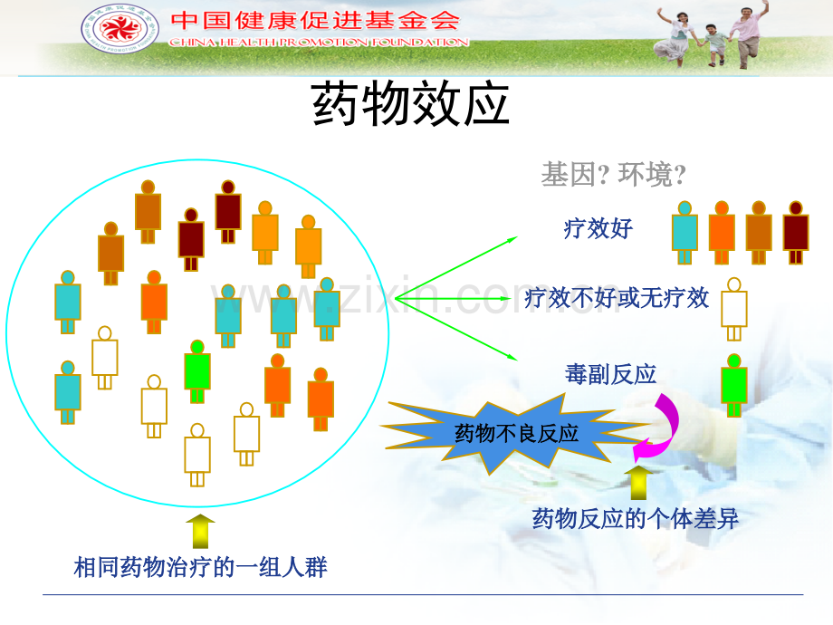 个体化医学在呼吸系统疾病领域的应用.ppt_第3页