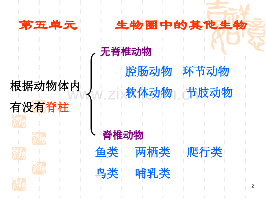 八年级生物上册总复习.ppt_第2页