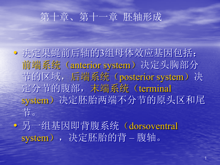 发育生物学复习资料(下).ppt_第1页