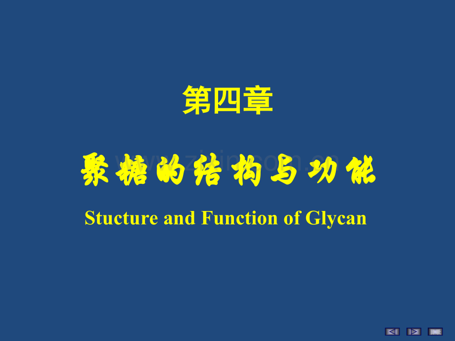 第八版生物化学与分子生物学聚糖的结构与功能.ppt_第2页