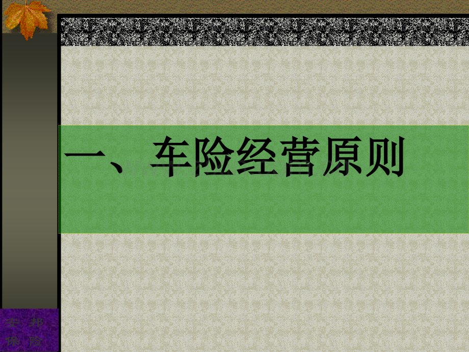 车险经营工作计划.ppt_第3页