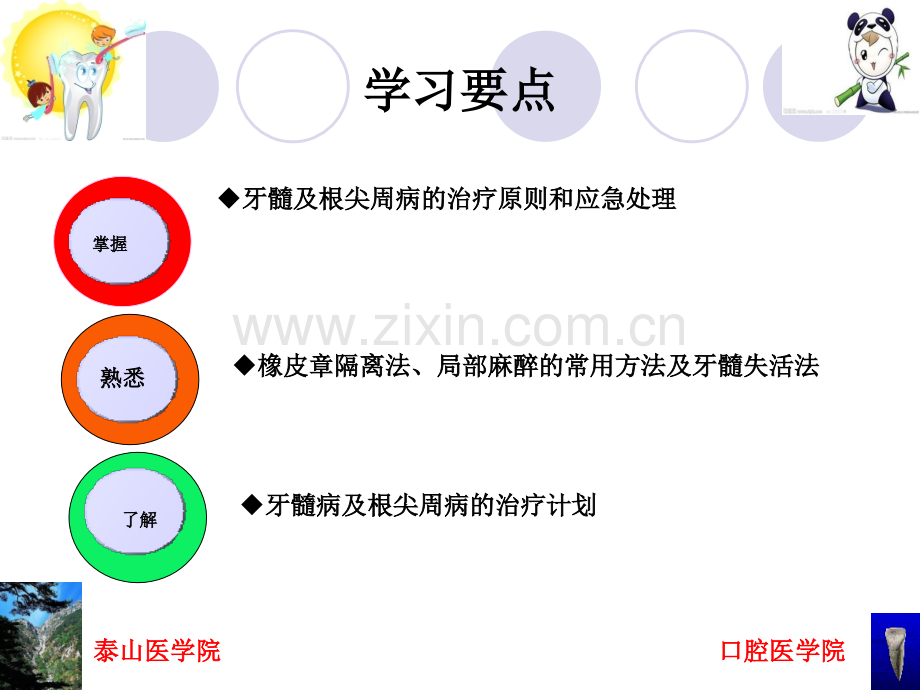 十七章--牙髓病和根尖周病治疗概述.ppt_第2页