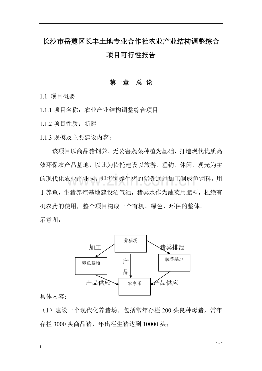 五丰村农业产业结构调整综合项目可行性报告.doc_第1页