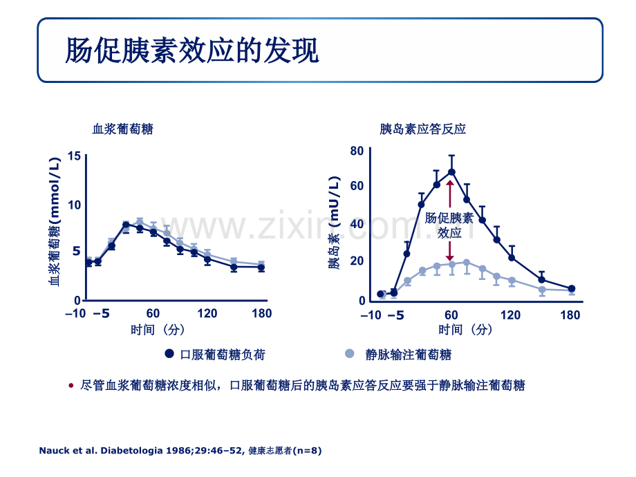 肠促胰素及其相关药物(DDP-4-GLP-1).ppt_第2页