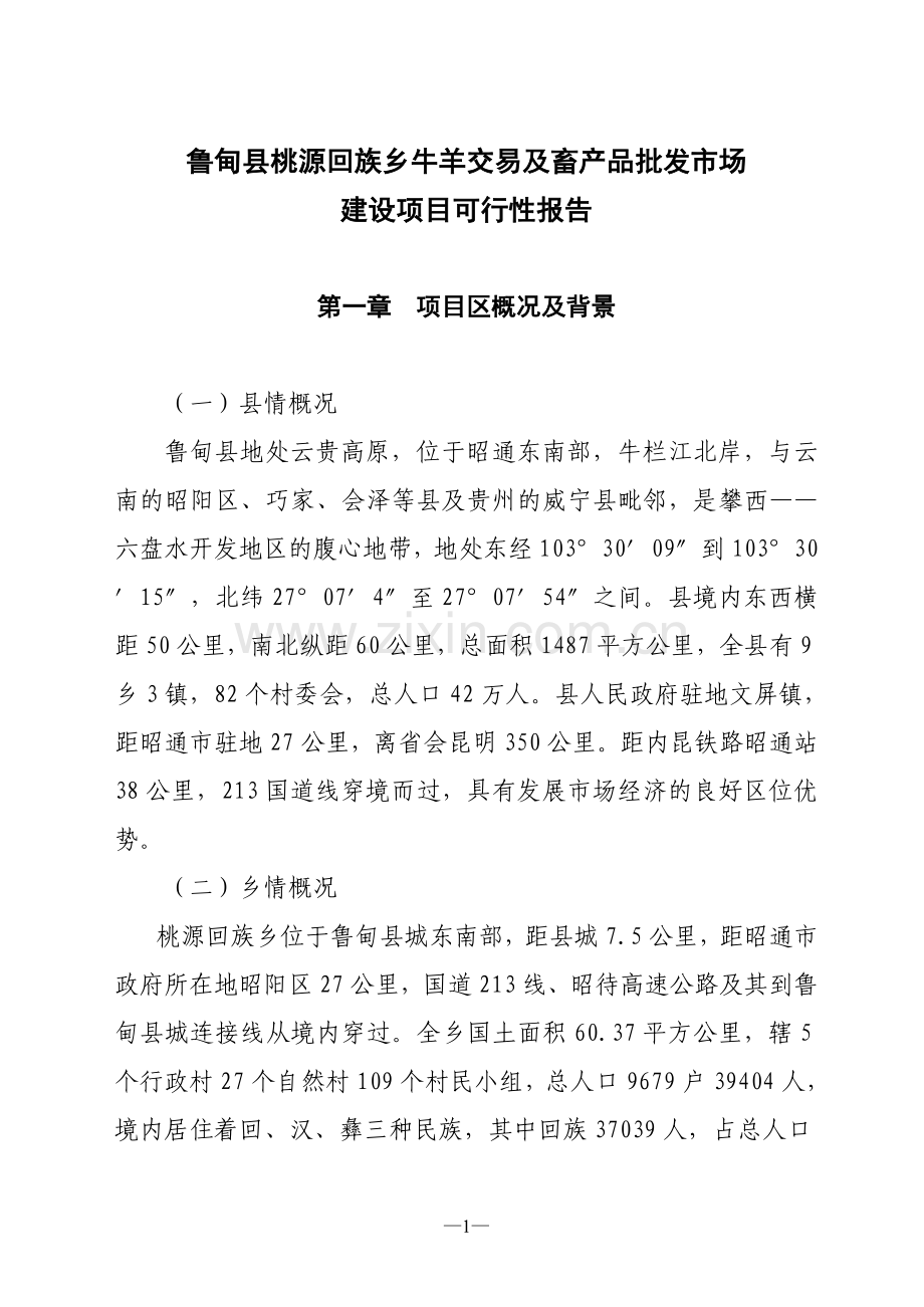 鲁甸县桃源回族乡牛羊交易及畜产品批发市场建设项目可行性报告.doc_第1页