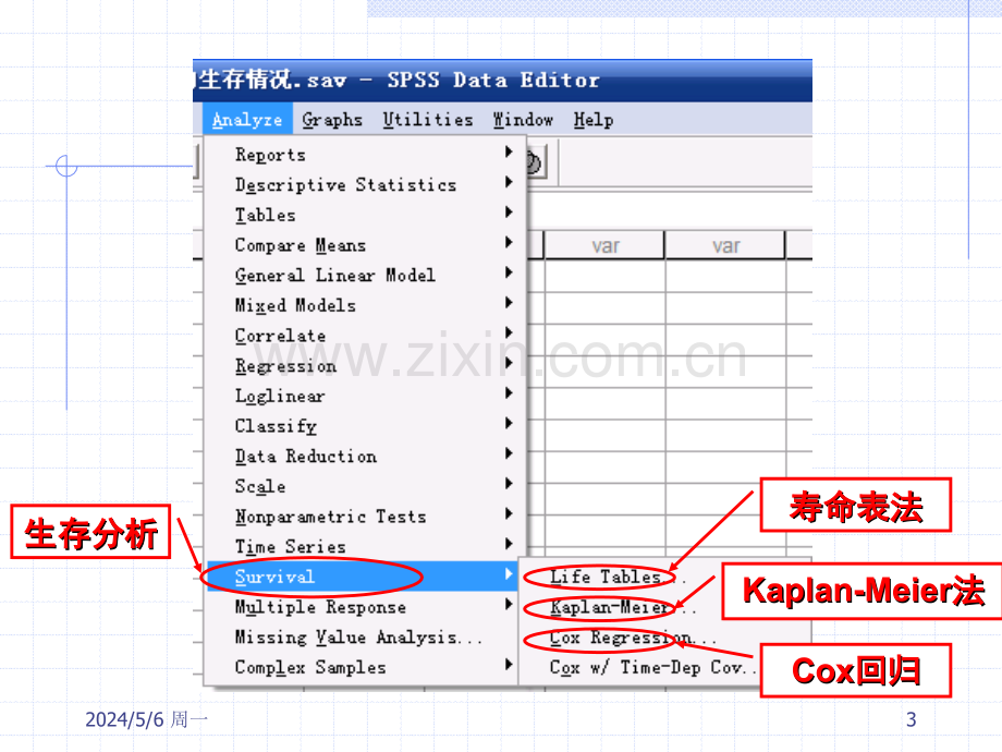 生存分析-SPSS.ppt_第3页