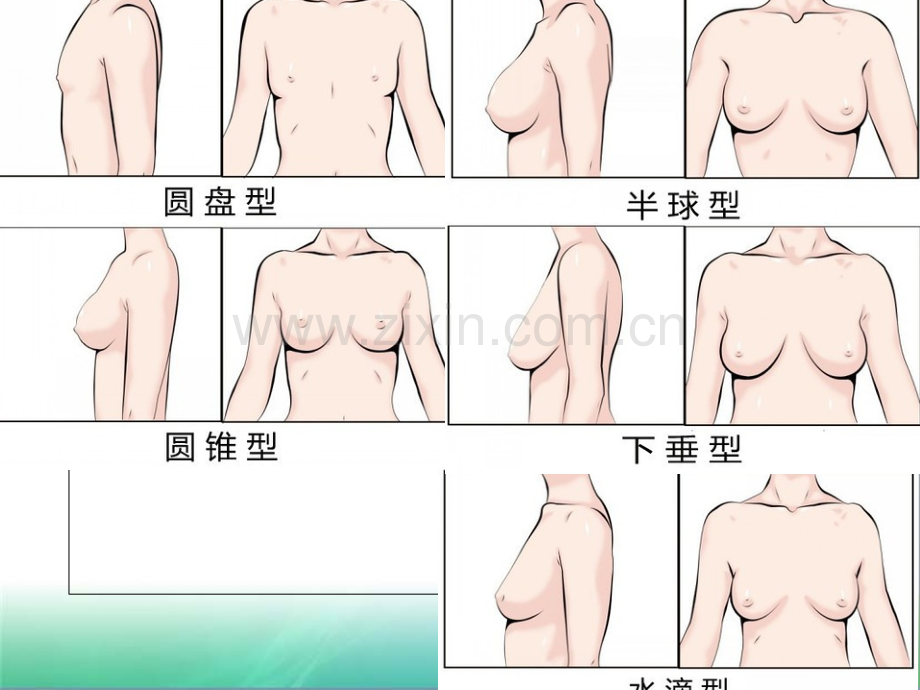 乳房护理.ppt_第3页