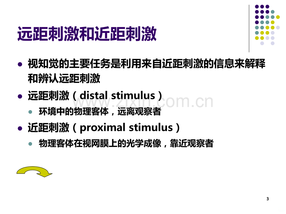 基础心理学知觉.ppt_第3页