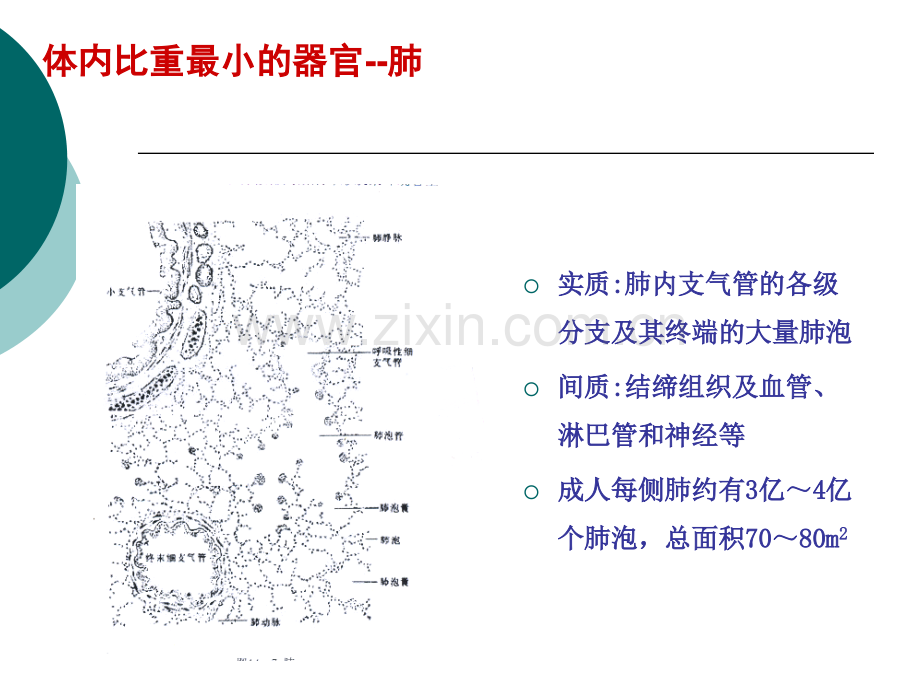 富露施幻灯片改.ppt_第2页