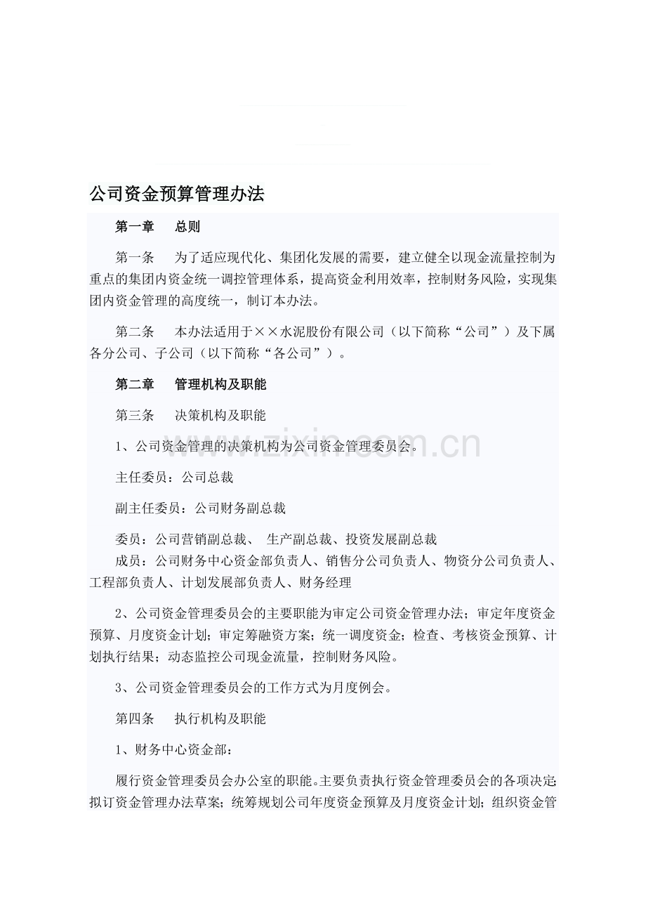 公司资金预算管理办法.doc_第1页