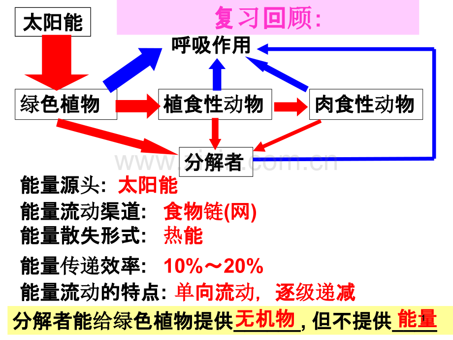 教学：生态系统的物质循环.ppt_第1页