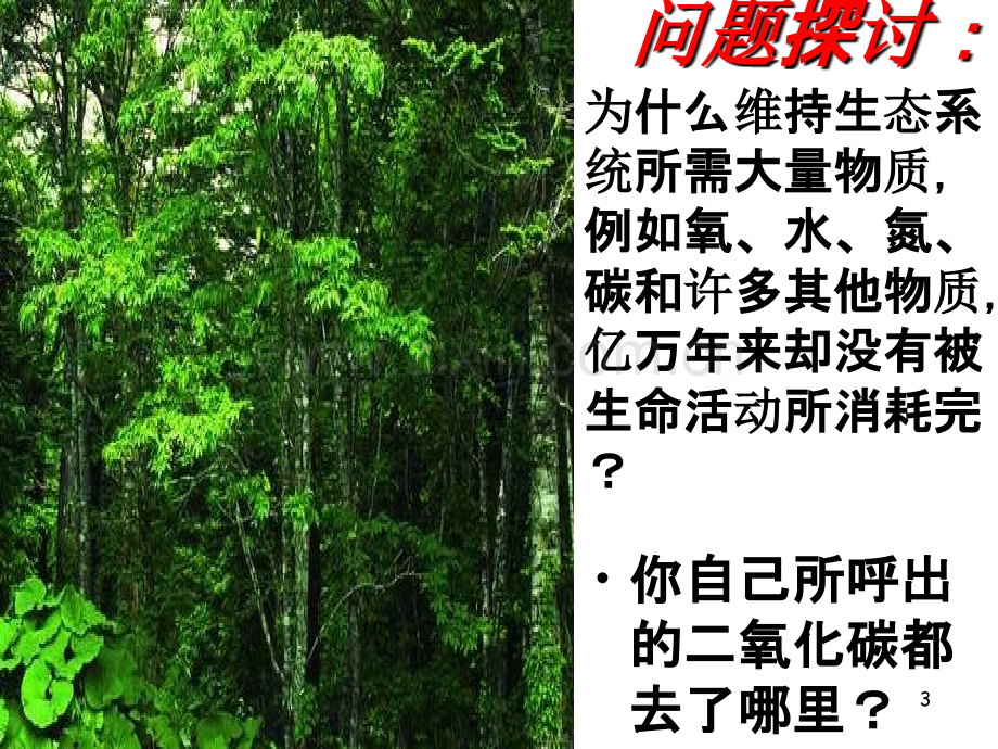 教学：生态系统的物质循环.ppt_第3页