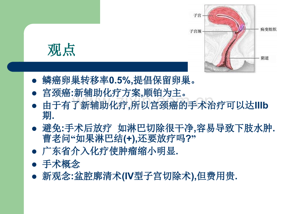 2018年第十一章宫颈癌治疗新进展-文档资料.ppt_第1页