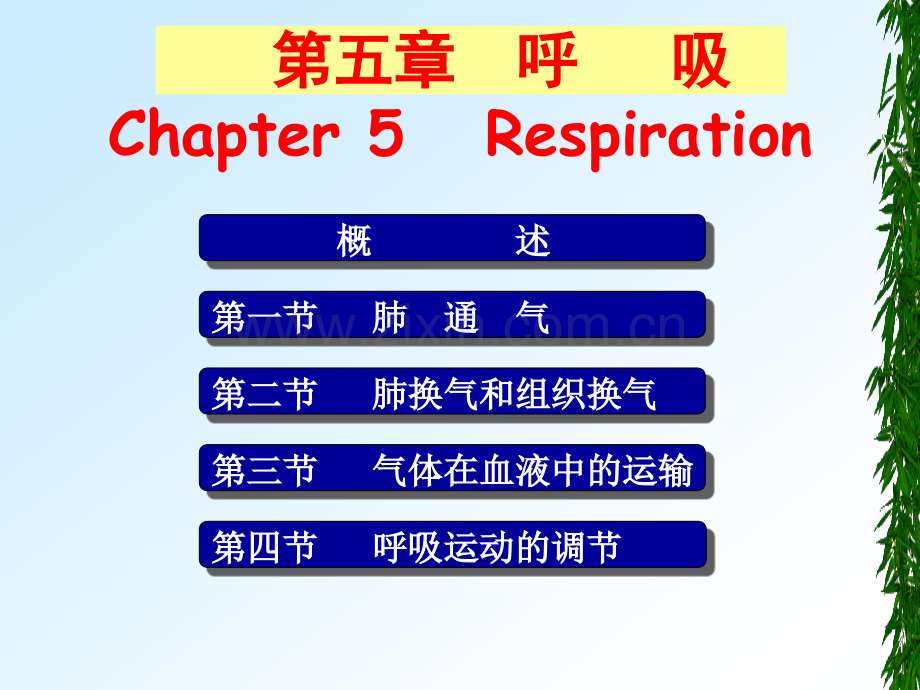 生理学第五章.ppt_第1页