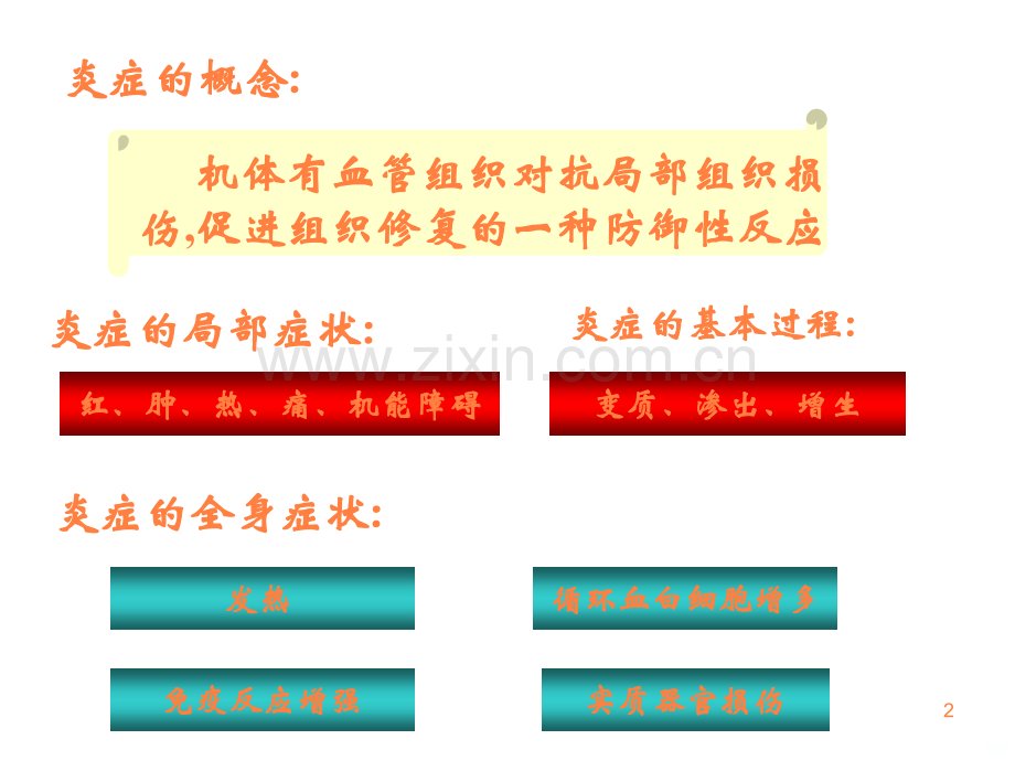 动物病理学炎症介质.ppt_第2页