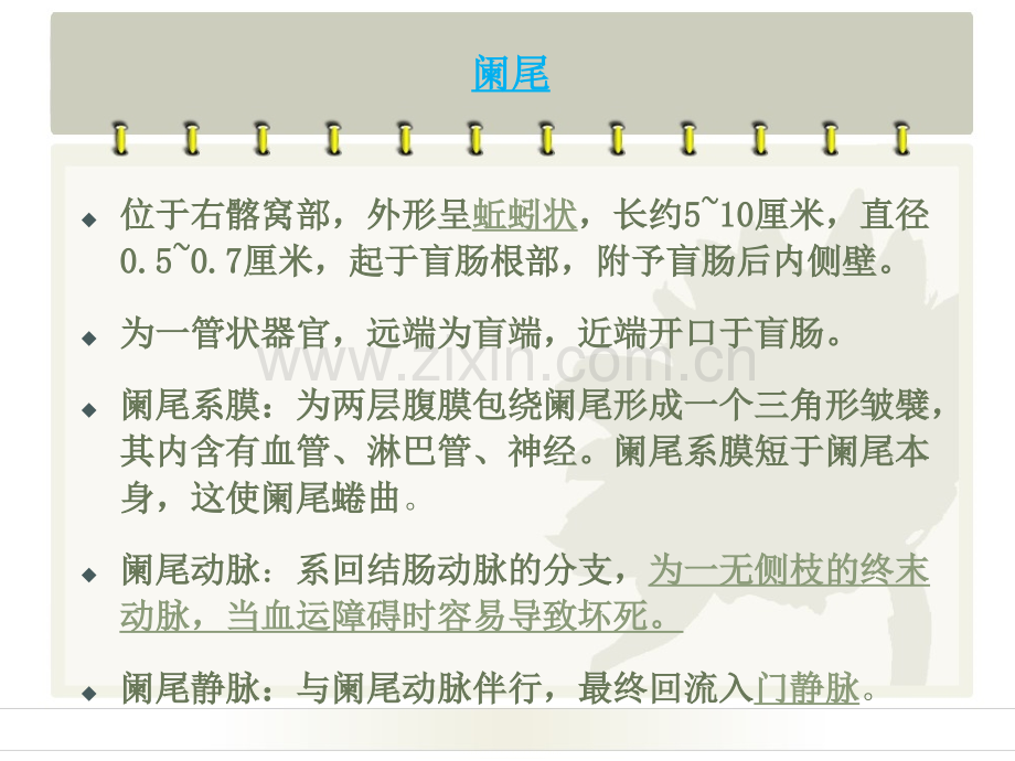 急性阑尾炎病人的护理(2).ppt_第2页