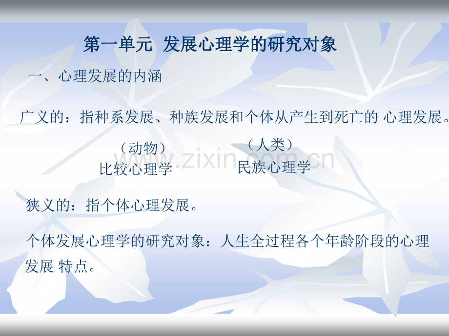 发展心理学-咨询师培训.ppt_第2页