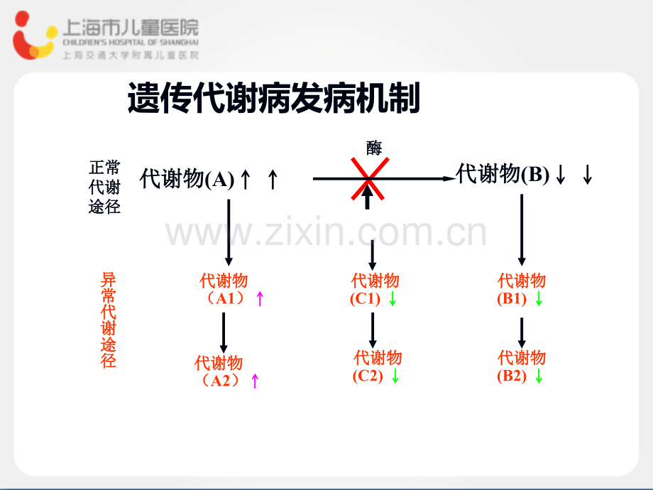 串联质谱技术新生儿遗传代谢病筛查-.ppt_第3页