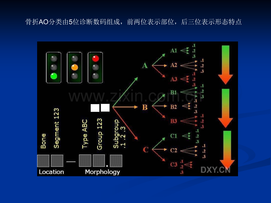 骨折的AO分型.ppt_第3页