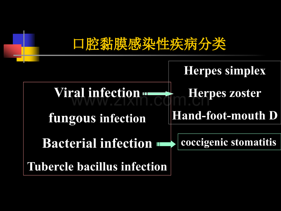 口腔粘膜感染性疾病.ppt_第2页