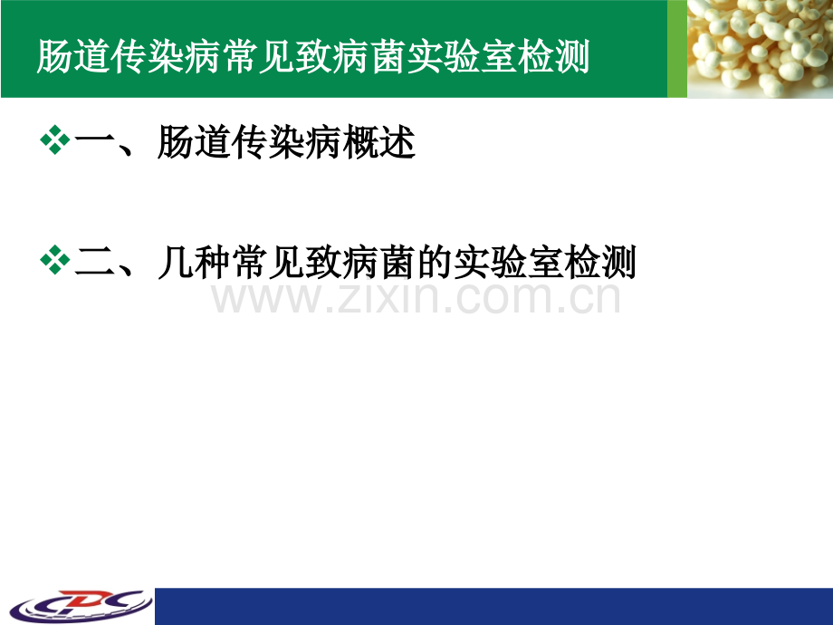 肠道传染病常见致病菌实验室检测.ppt_第2页