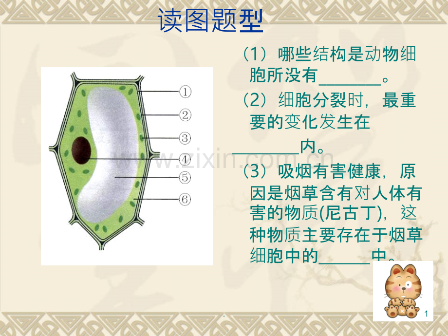 初中生物读图题.ppt_第1页