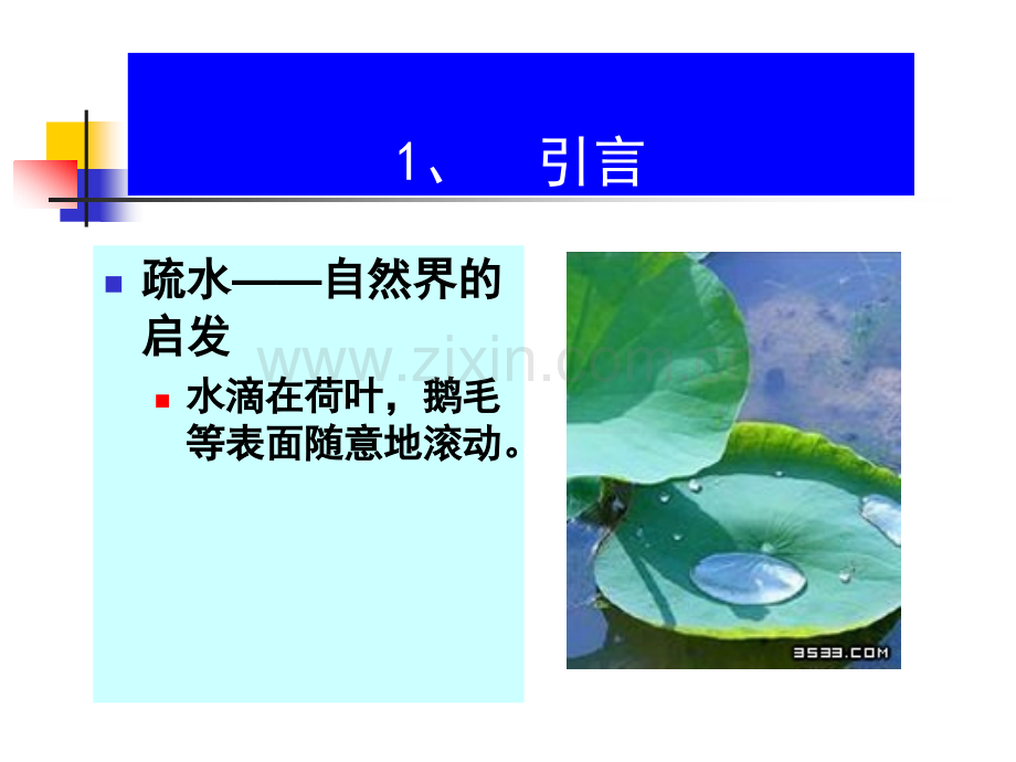 从自然到仿生的疏水超疏水界面材料.ppt_第3页