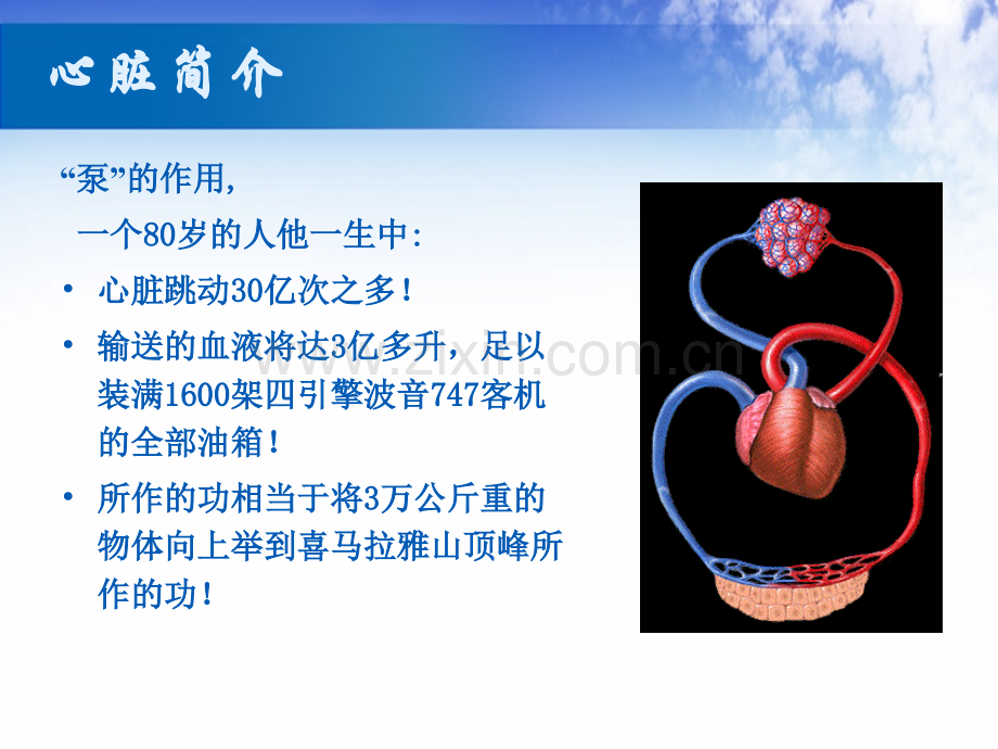 机械通气与心衰.ppt_第3页