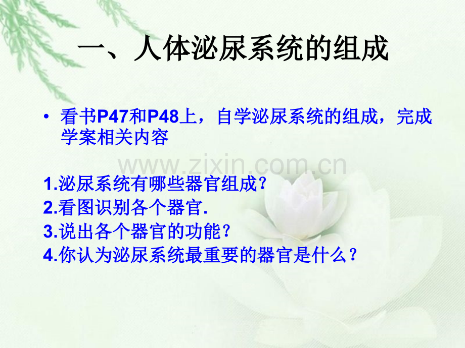 泌尿系统组成.ppt_第3页