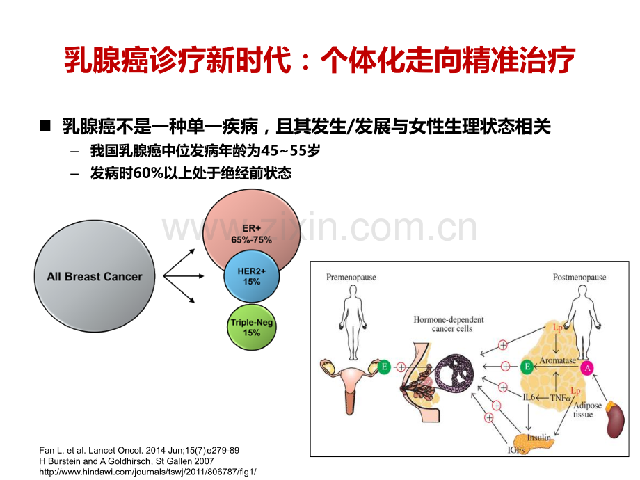 绝经前乳腺癌辅助内分泌治疗.pptx_第2页