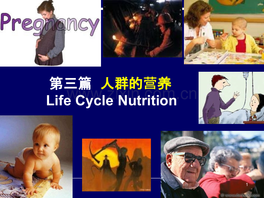 孕妇乳母的营养与膳食.ppt_第1页