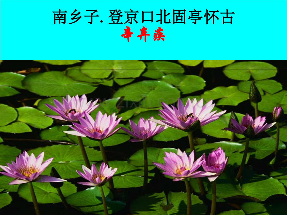 《南乡子·登京口北固亭有怀》19.ppt_第2页