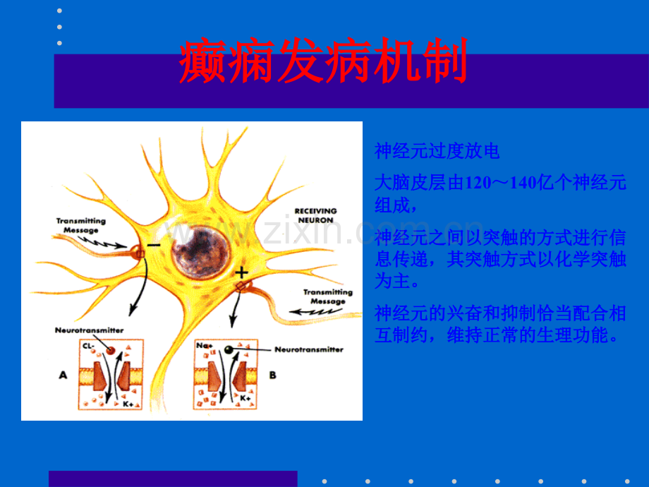 癫痫病的治疗和诊断.ppt_第3页