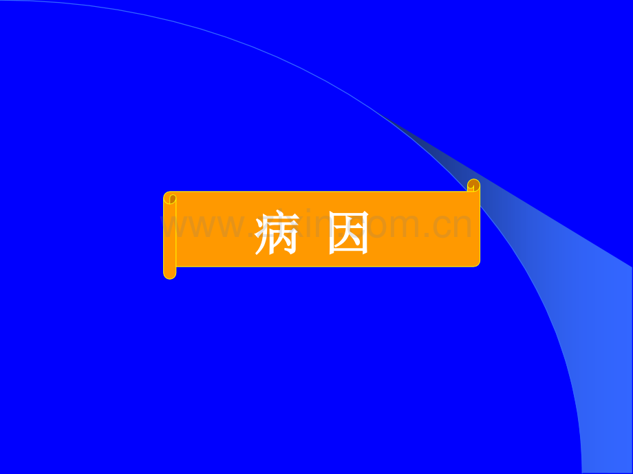 前置胎盘.ppt_第3页