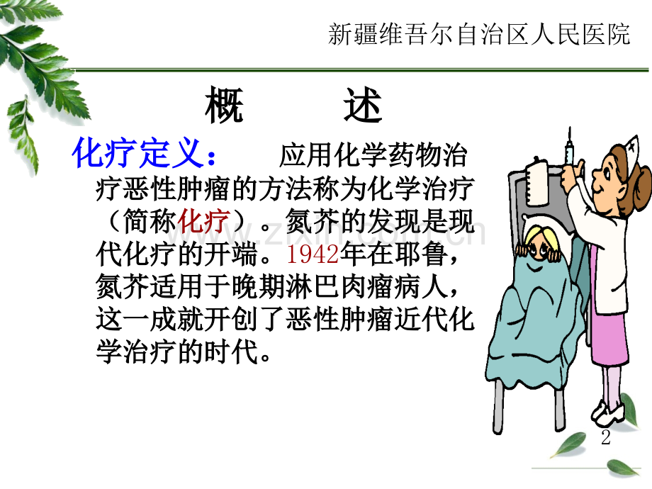 化疗药物的应用与管理.ppt_第2页