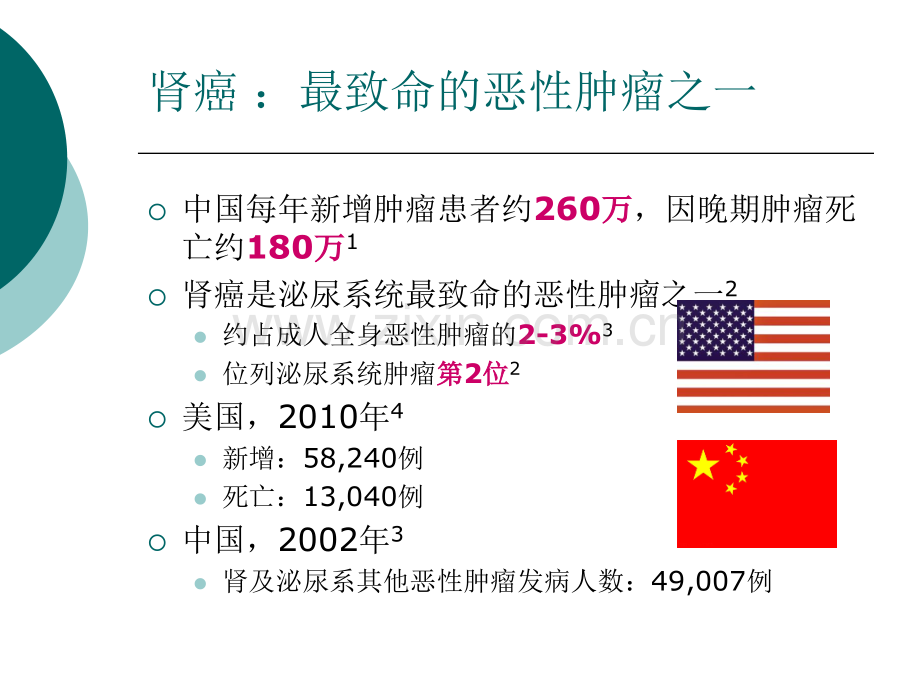 晚期肾癌演示课件.ppt_第3页