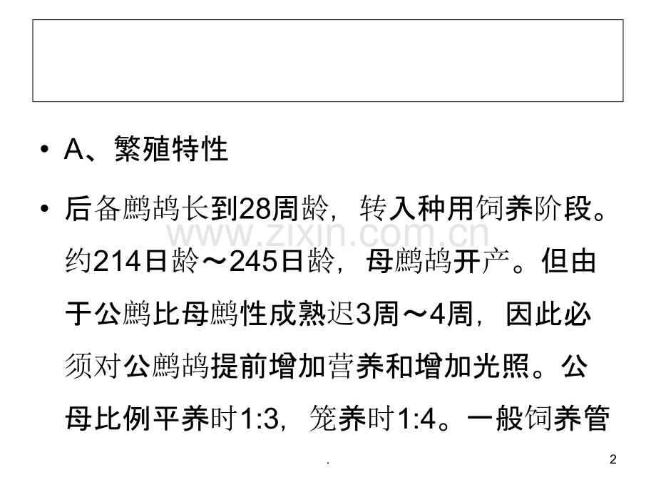 繁殖鹧鸪的经验.ppt_第2页